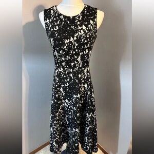 Calvin Klein size 10 black and white dress NWT